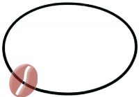 O-RING DICHTUNG 02300 EPDM