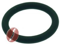 O-RING DICHTUNG 0119 VITON