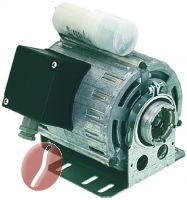 MOTOR MIT SCHELLENANSCHLUSS