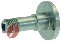 FÖRDERER FÜR STERN