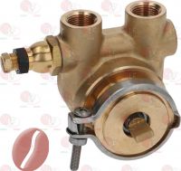 VERDRÄNGERPUMPE ROTOFLOW ø 3/8" GAS
