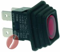 SCHALTER 2-POLIG ROT 16A 250V