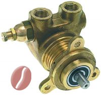 VERDRÄNGERPUMPE ROTOFLOW ø 3/8  NPT