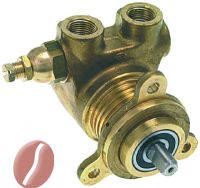 VERDRÄNGERPUMPE ROTOFLOW ø 3/8  NPT