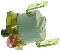 DAMPFTHERMOSTAT 155°C