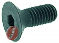SCHRAUBE CNS T.S.P.C.E.I. M8x20 UNI5933
