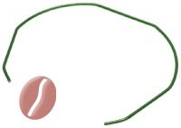 FEDER FÜR SIEBTRÄGER GROSS ø 1,20 mm