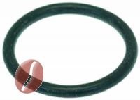 DICHTUNG ORMORM 0170-20 EPDM