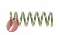 FEDER ø 10,8x30 mm FÜR DAMPFROHR